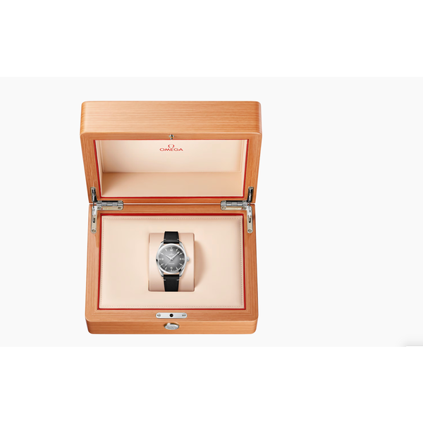 OMEGA Seamaster Railmaster
