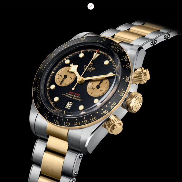 TUDOR M79363N-0001 - Black Bay Chrono S&G