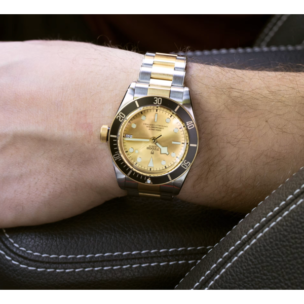 TUDOR Black Bay S&G