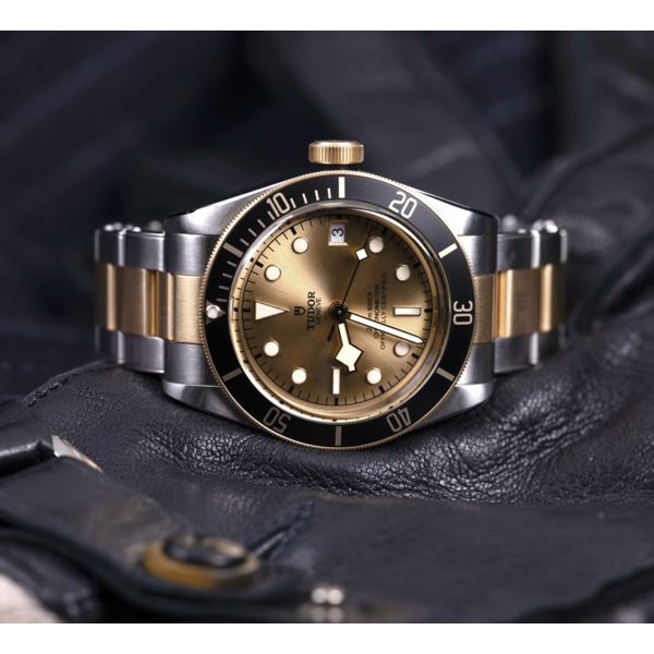 TUDOR Black Bay S&G