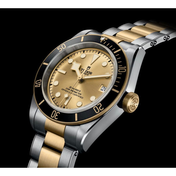 TUDOR Black Bay S&G