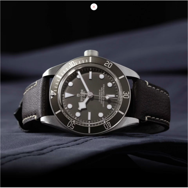 TUDOR M79010SG-0001 - Black Bay 58 925