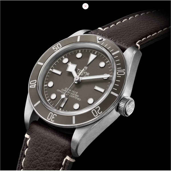 TUDOR M79010SG-0001 - Black Bay 58 925