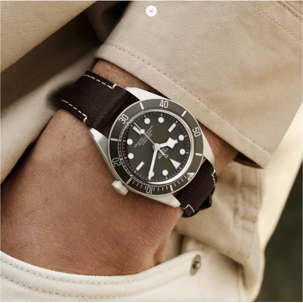 TUDOR M79010SG-0001 - Black Bay 58 925