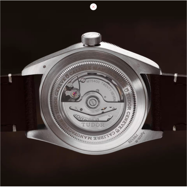 TUDOR M79010SG-0001 - Black Bay 58 925