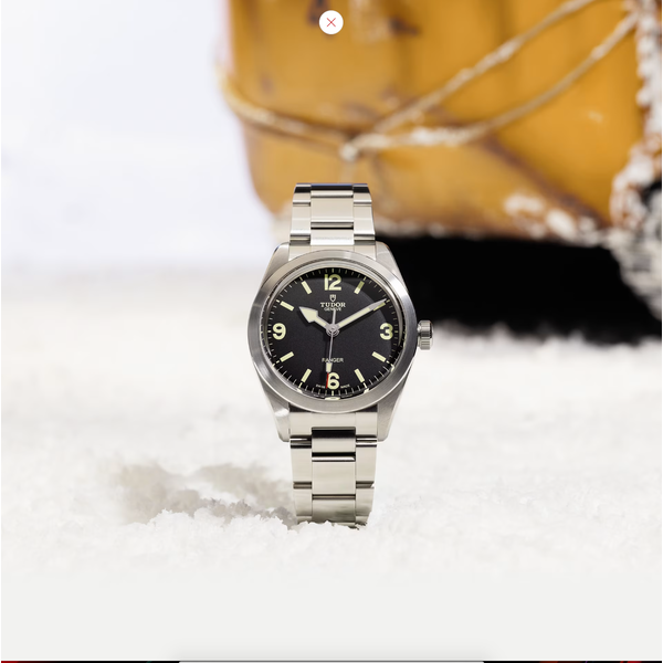 TUDOR Ranger