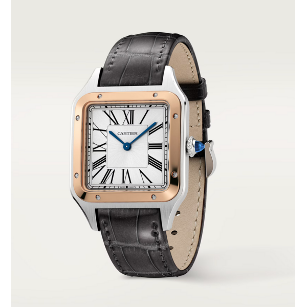 CARTIER Santos-Dumont watch