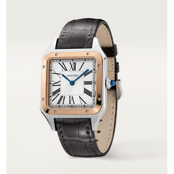CARTIER W2SA0037 - Santos-Dumont watch