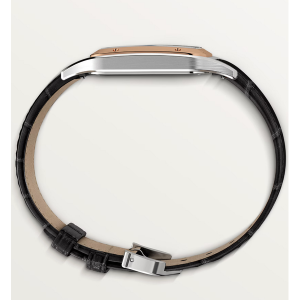 CARTIER W2SA0037 - Santos-Dumont watch