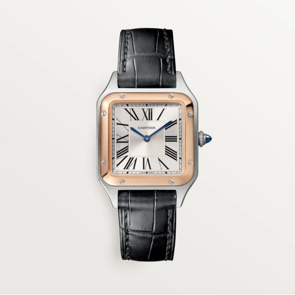 CARTIER W2SA0038 - Santos-Dumont watch