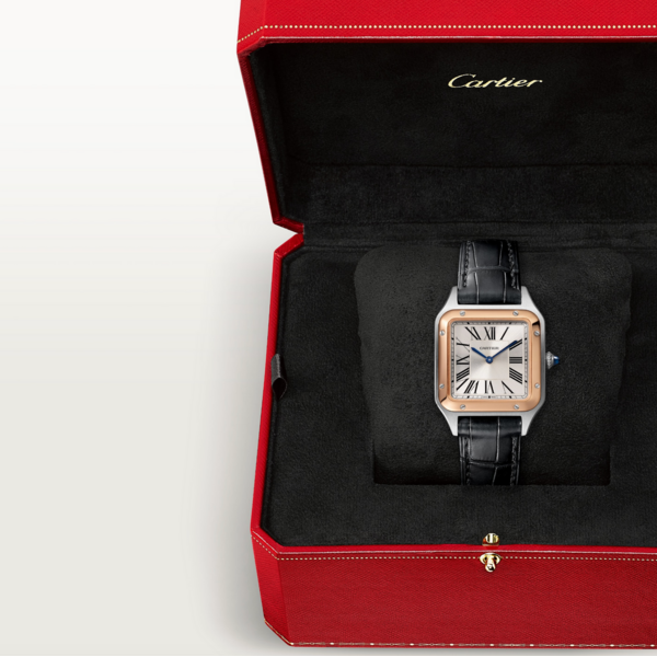 CARTIER W2SA0038 - Santos-Dumont watch