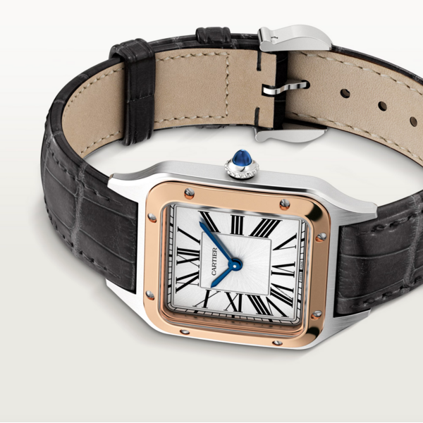 CARTIER W2SA0038 - Santos-Dumont watch