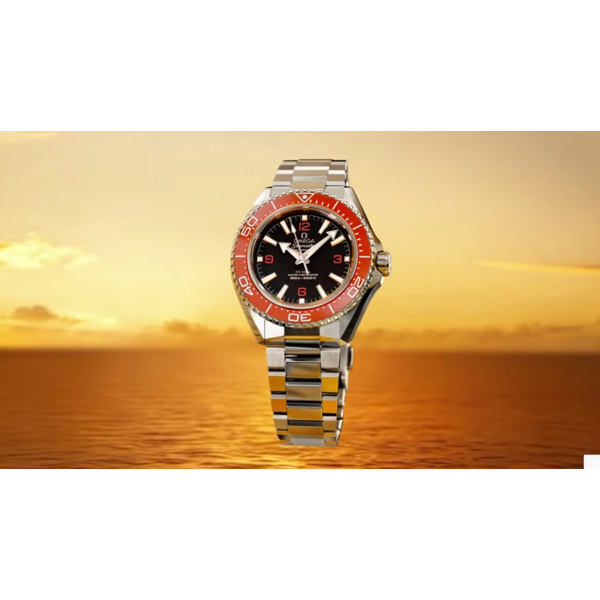 OMEGA 21732422101004 - Seamaster Planet Ocean 600M