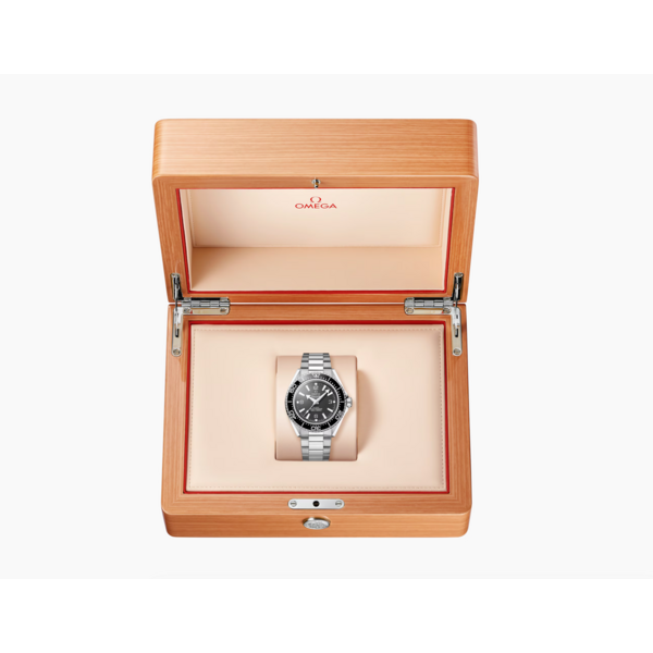 OMEGA Seamaster Planet Ocean 600M