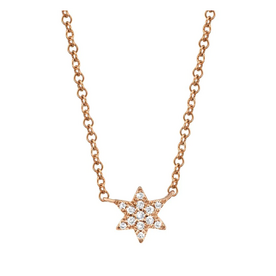 SHY CREATION INC SC55006677 - 14kr .03C Dia Star of David Necklace