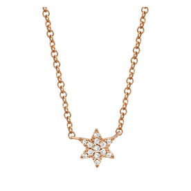 SHY CREATION INC SC55006677 - 14kr .03C Dia Star of David Necklace