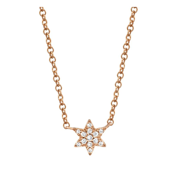 SHY CREATION INC SC55006677 - 14kr .03C Dia Star of David Necklace
