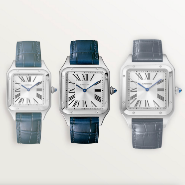 CARTIER WSSA0085 - Santos-Dumont watch