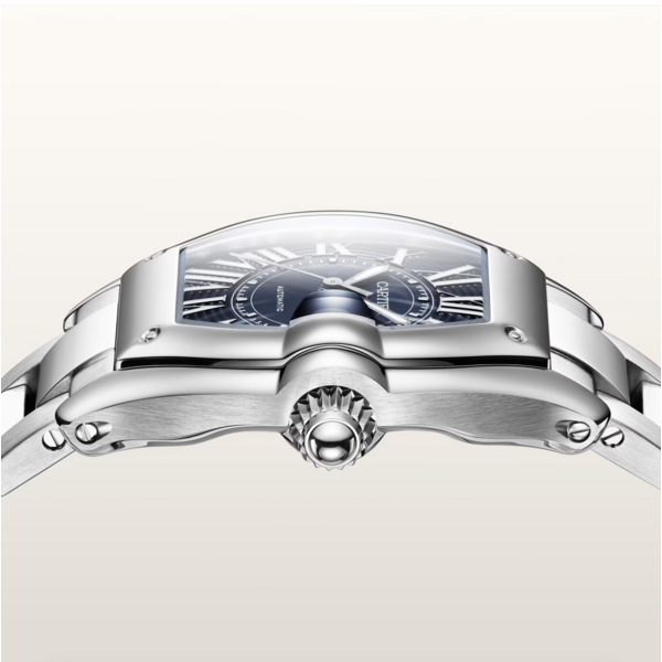 CARTIER Roadster watch