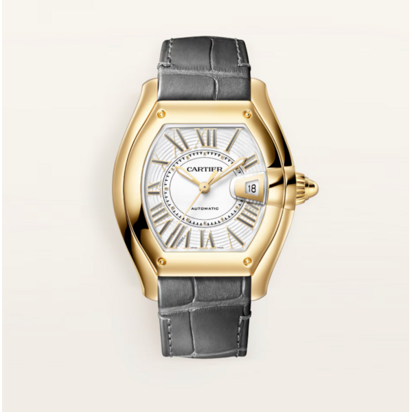 CARTIER Roadster watch