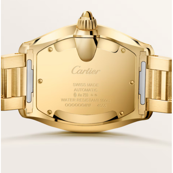 CARTIER Roadster watch