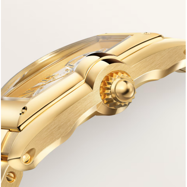 CARTIER Roadster watch