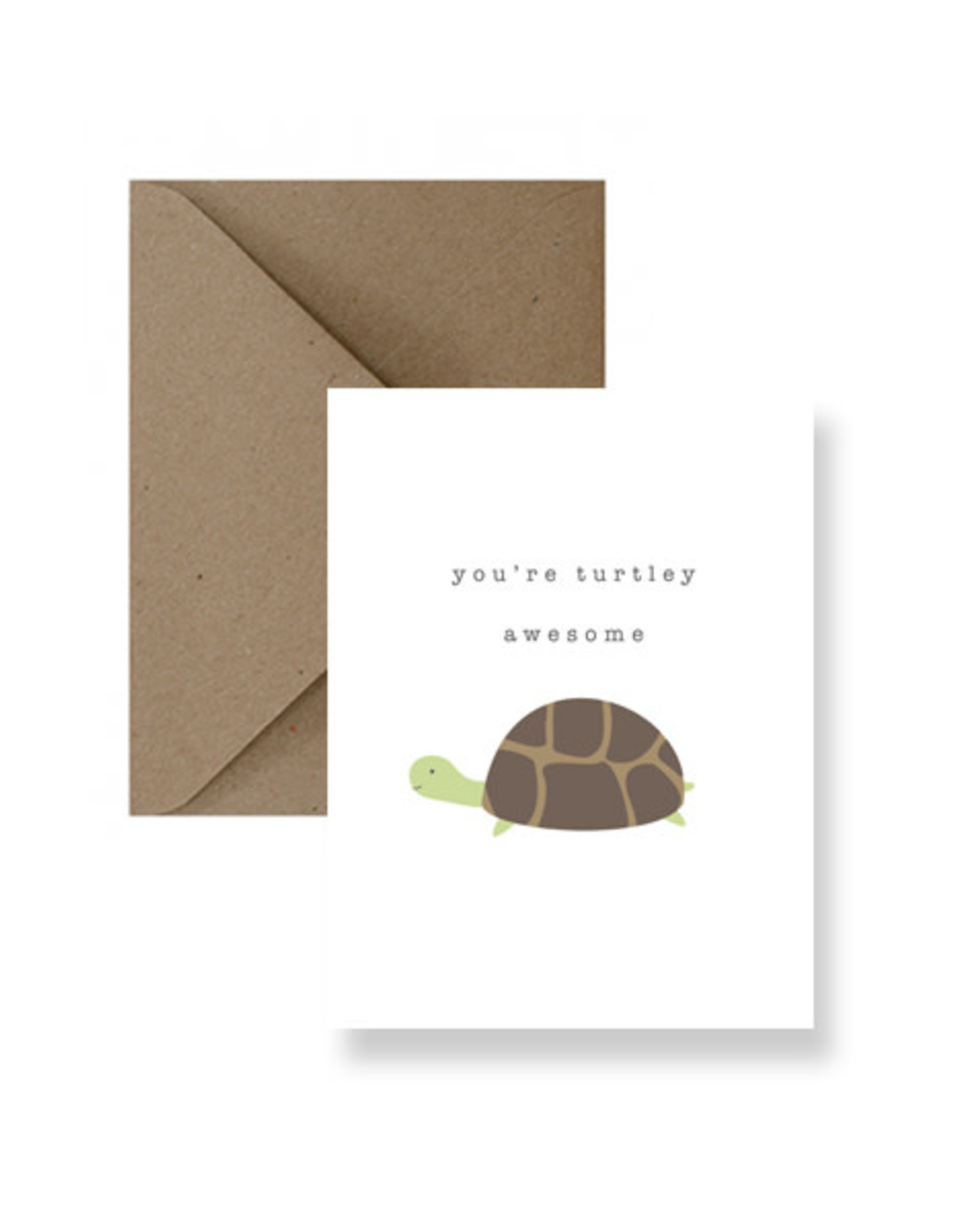 IM Paper IMPC -Turtley Awesome