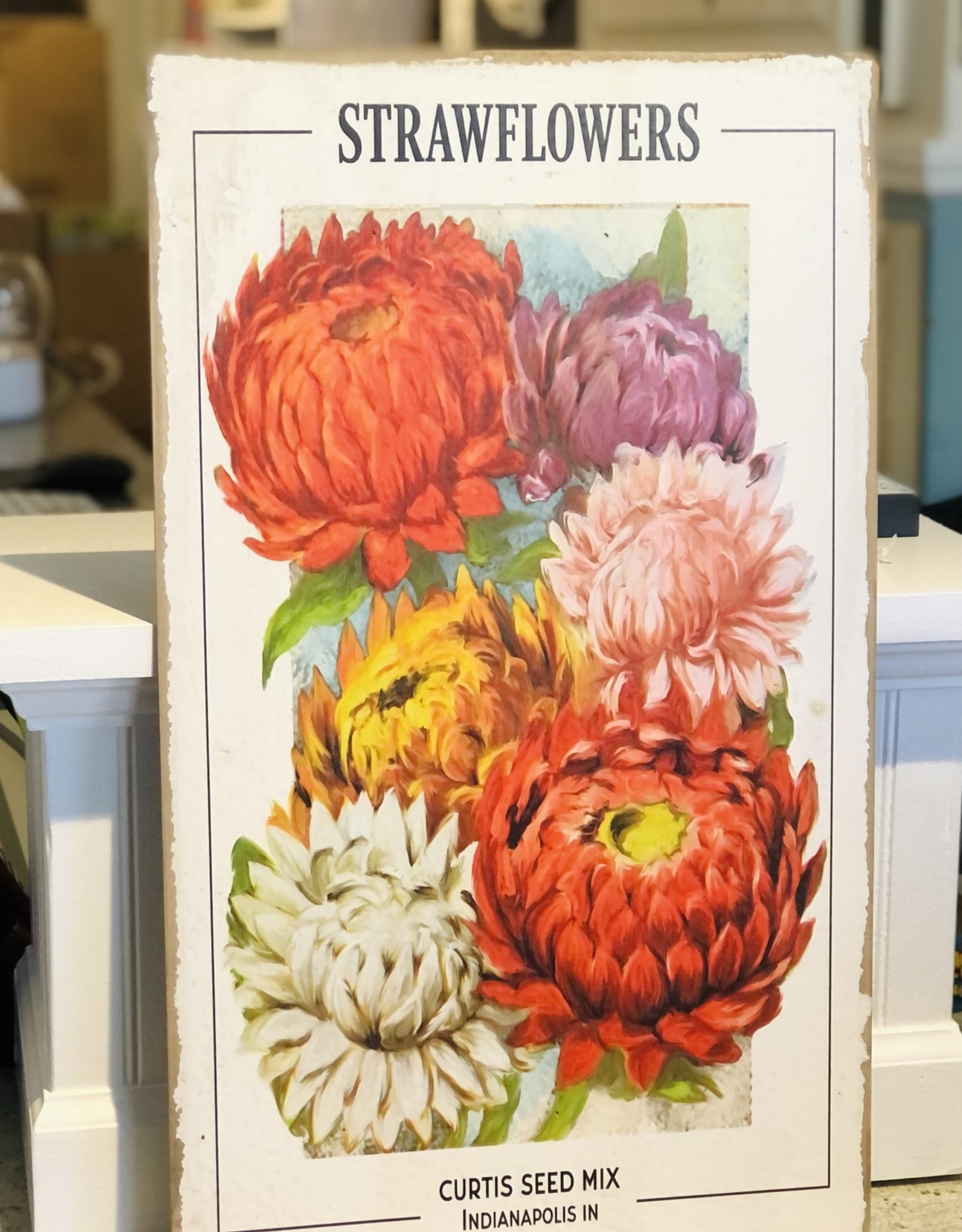 Raz Imports Floral Seed Packet Wall Art SALE