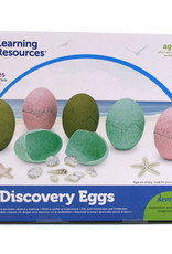 Playwell Discovery Eggs