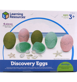 Playwell Discovery Eggs