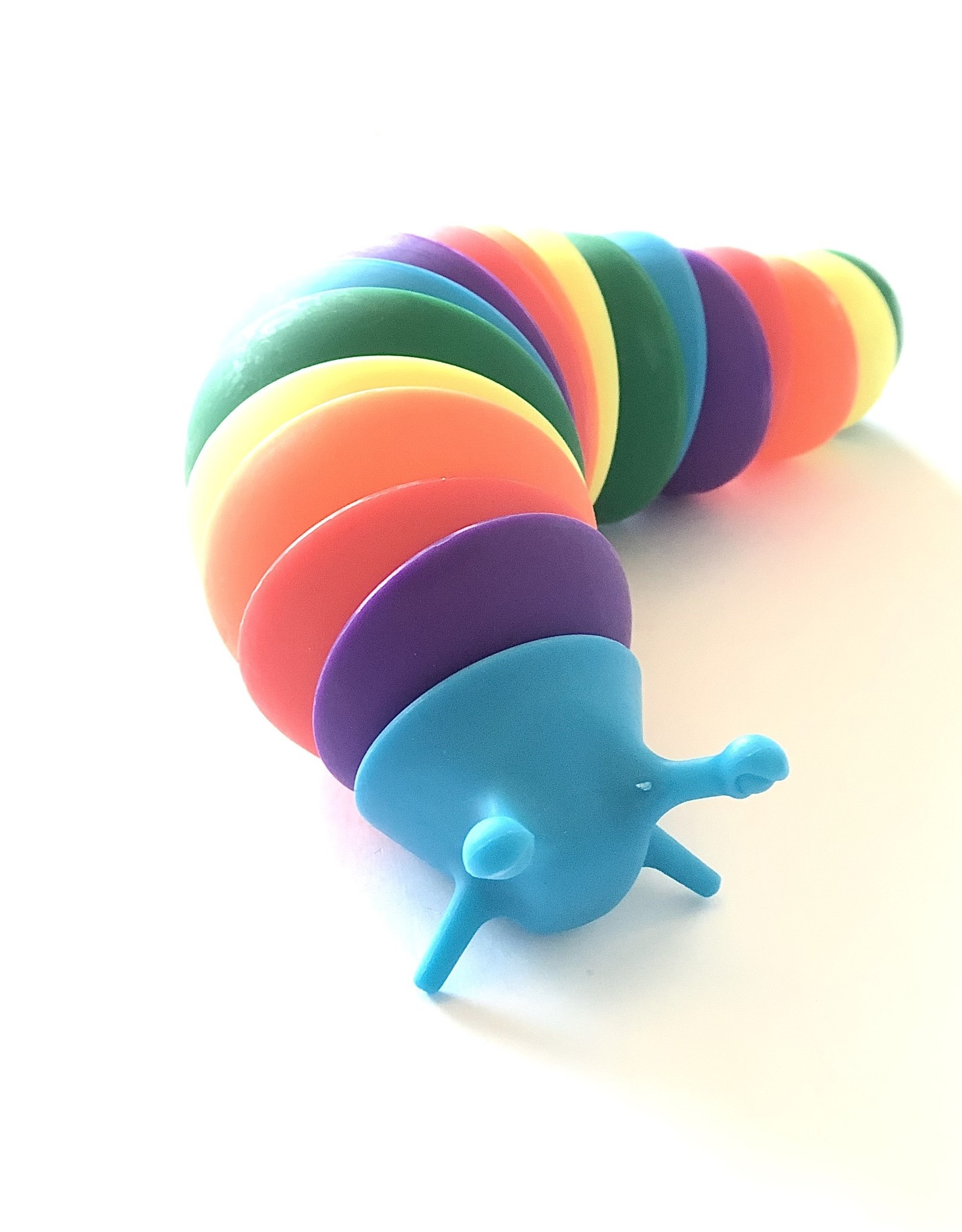 Jimmy Zee's Fidget Slugs -Rainbow