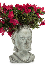 Abbott Frida Lg planter
