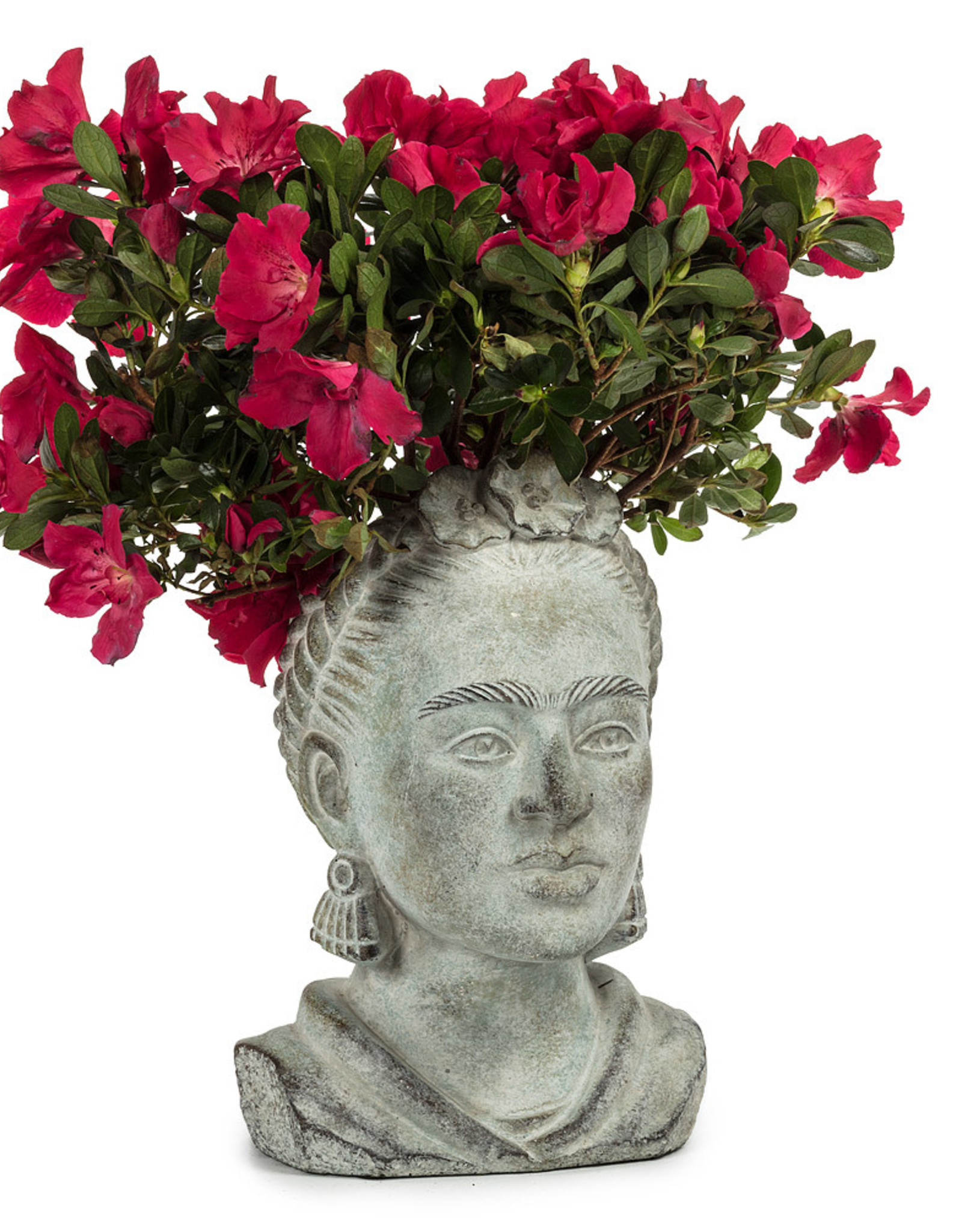Abbott Frida Lg planter