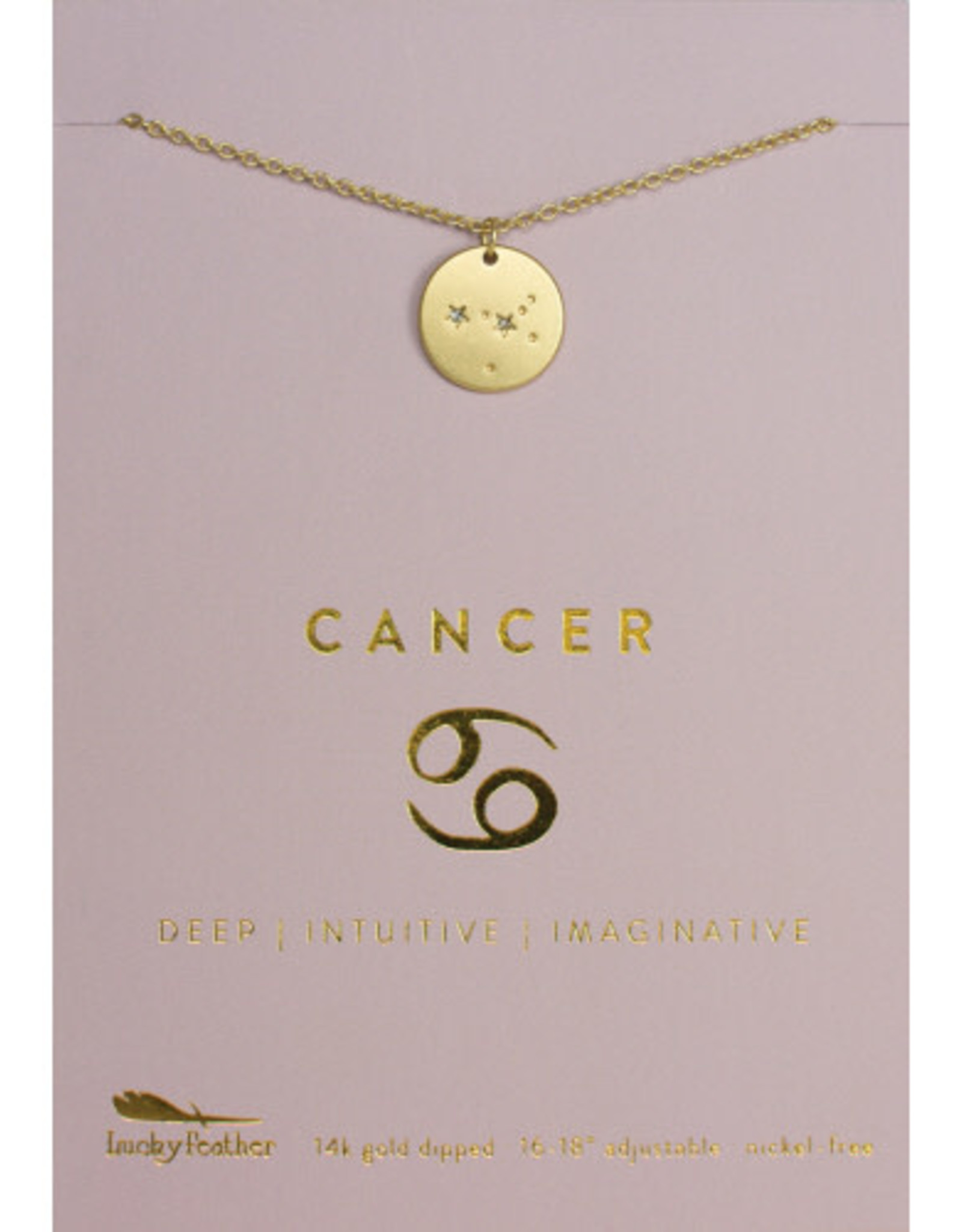 Lucky Feather Zodiac Constellation  Necklace