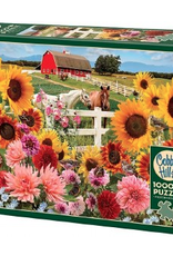 Cobble Hill Sunflower Farm - 1000pc