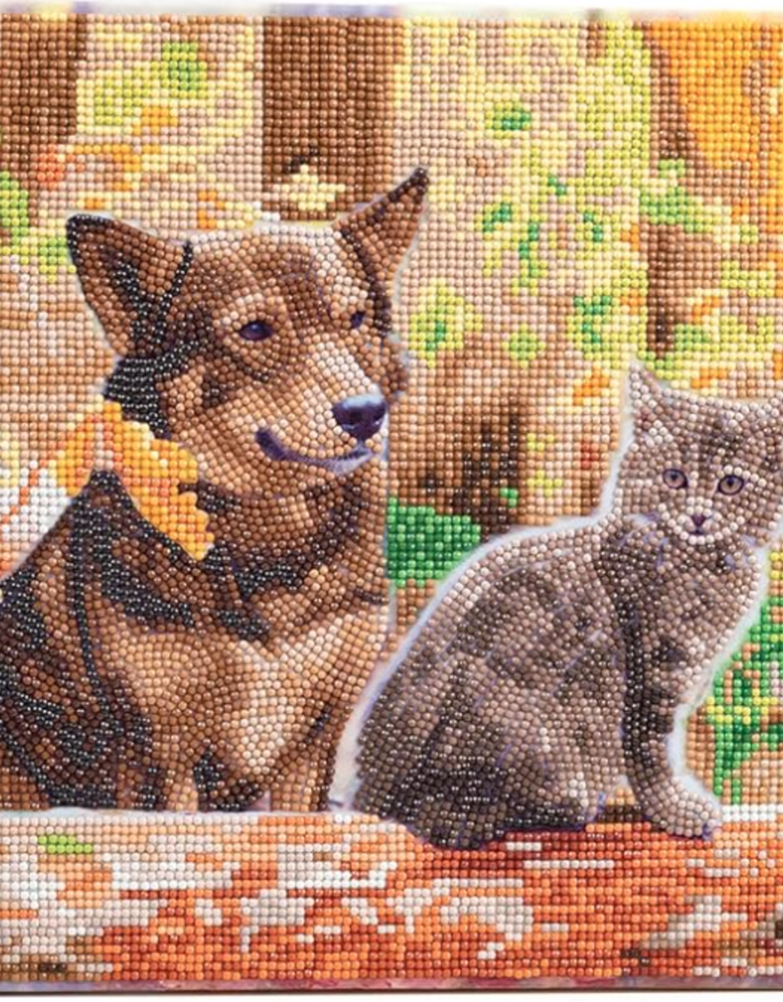 Outset media Crystal Art Md Cat & Dog in Woods