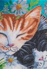 Outset media Crystal Art Md Sleepy Cats