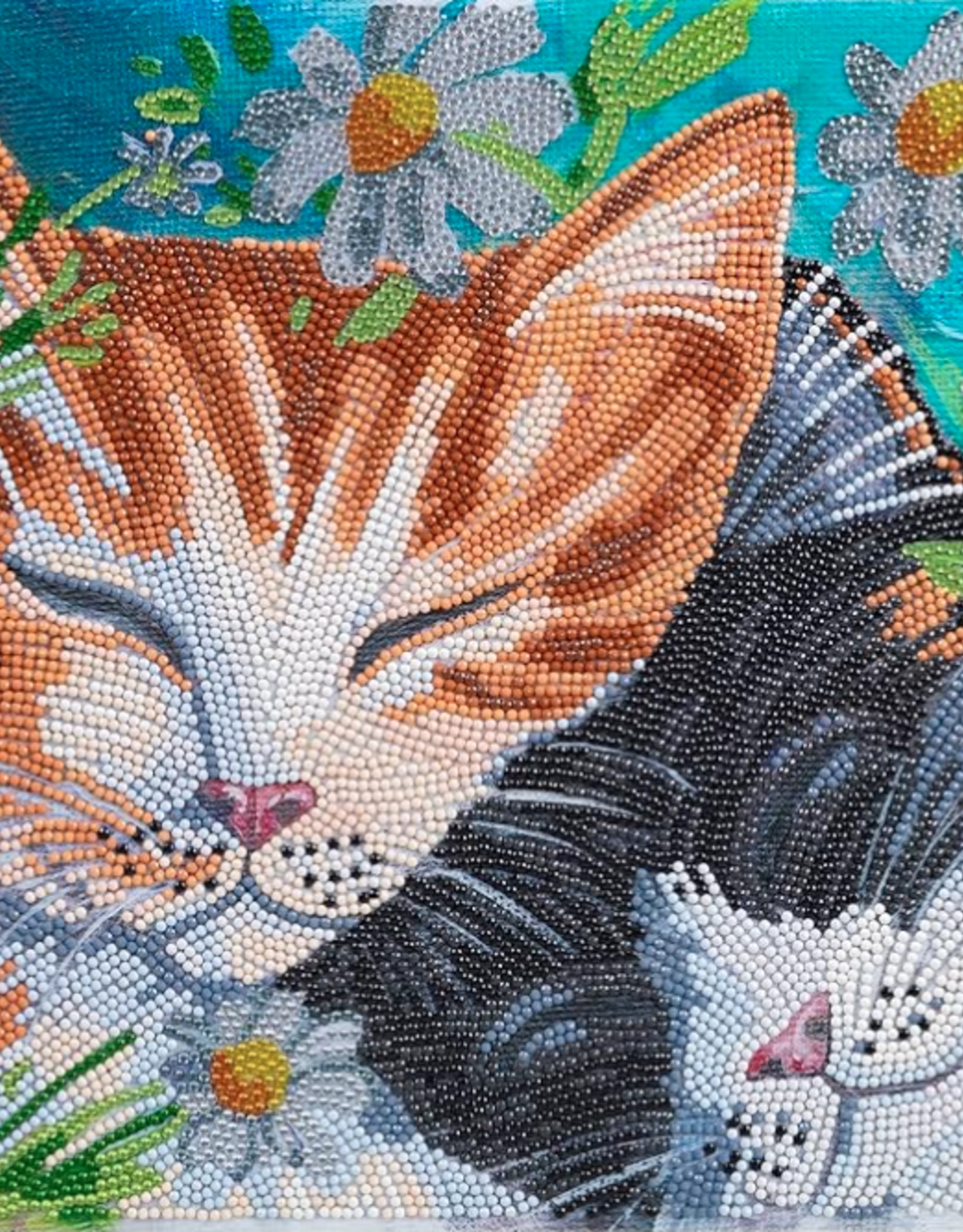 Outset media Crystal Art Md Sleepy Cats