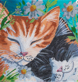 Outset media Crystal Art Md Sleepy Cats
