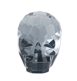 Ganz Black Crystal Expression Skull