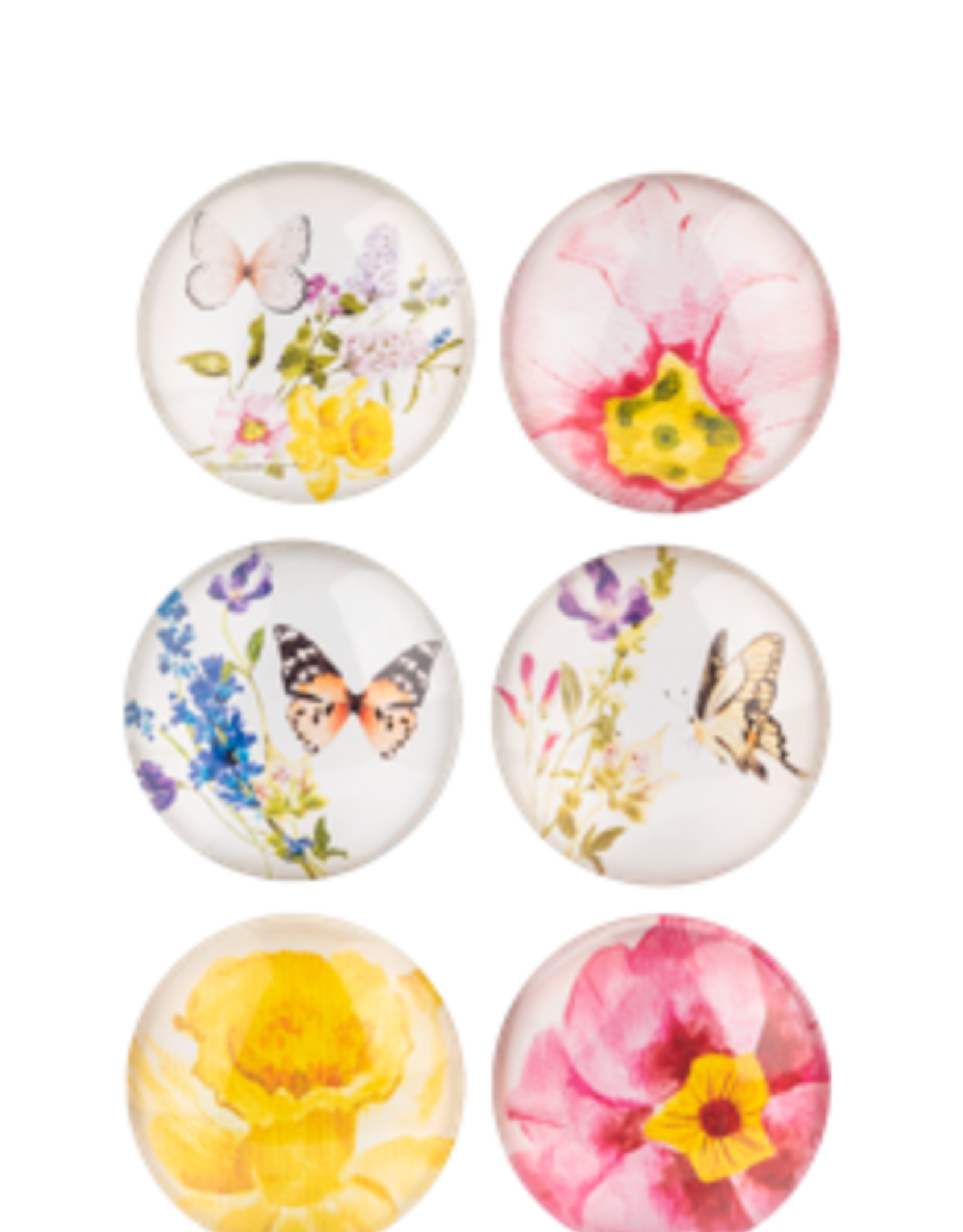 Floral Butterfly Magnet Glass Set of 6