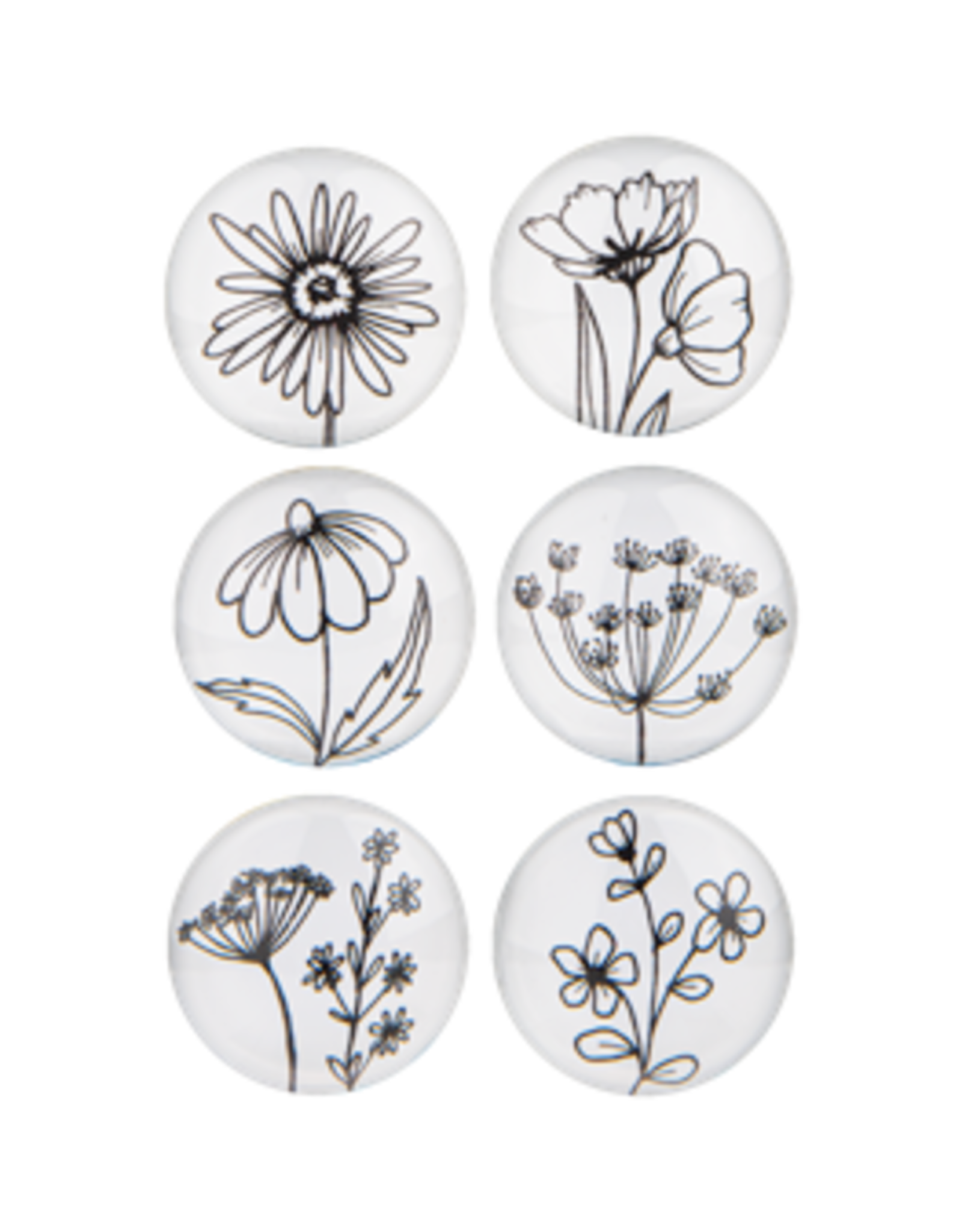 Floral Line Art Glass Magnet Set of 6