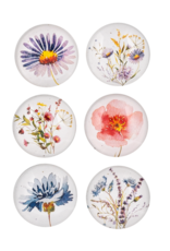 Wildflower Magnet Glass Set of 6