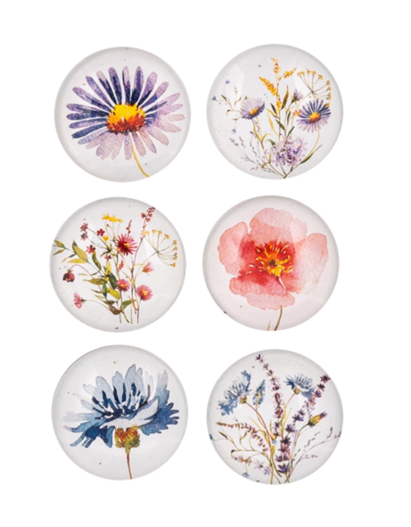 Wildflower Magnet Glass Set of 6