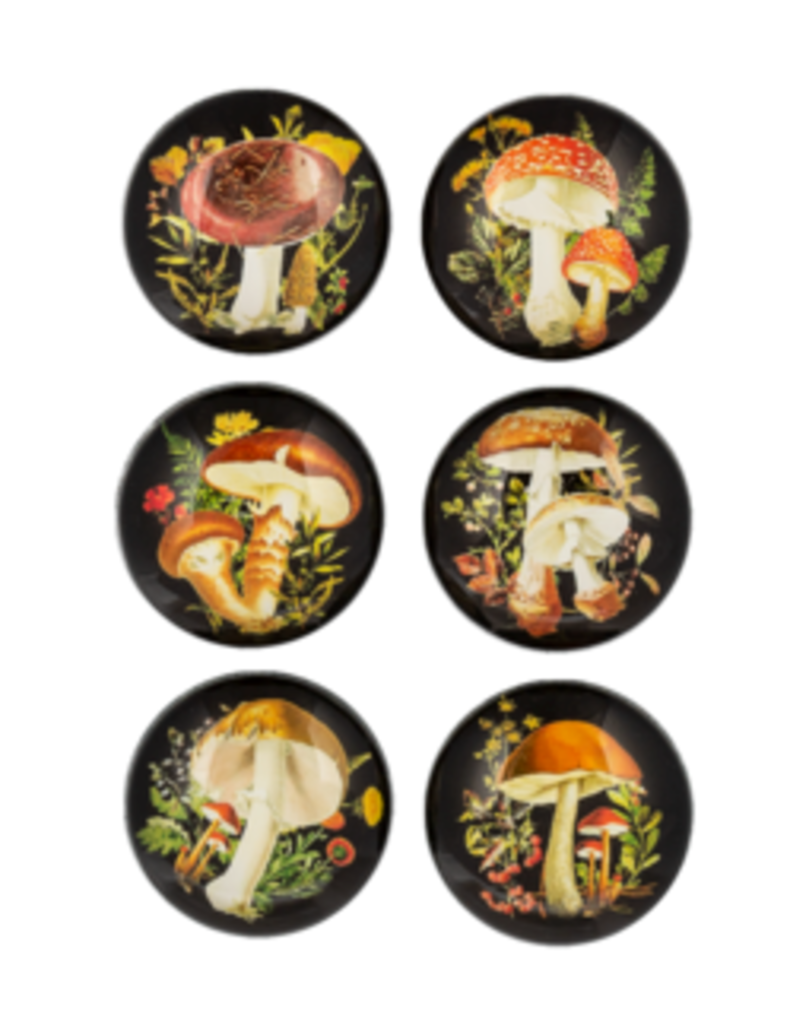 Mushroom Magnet Glass Set of 6