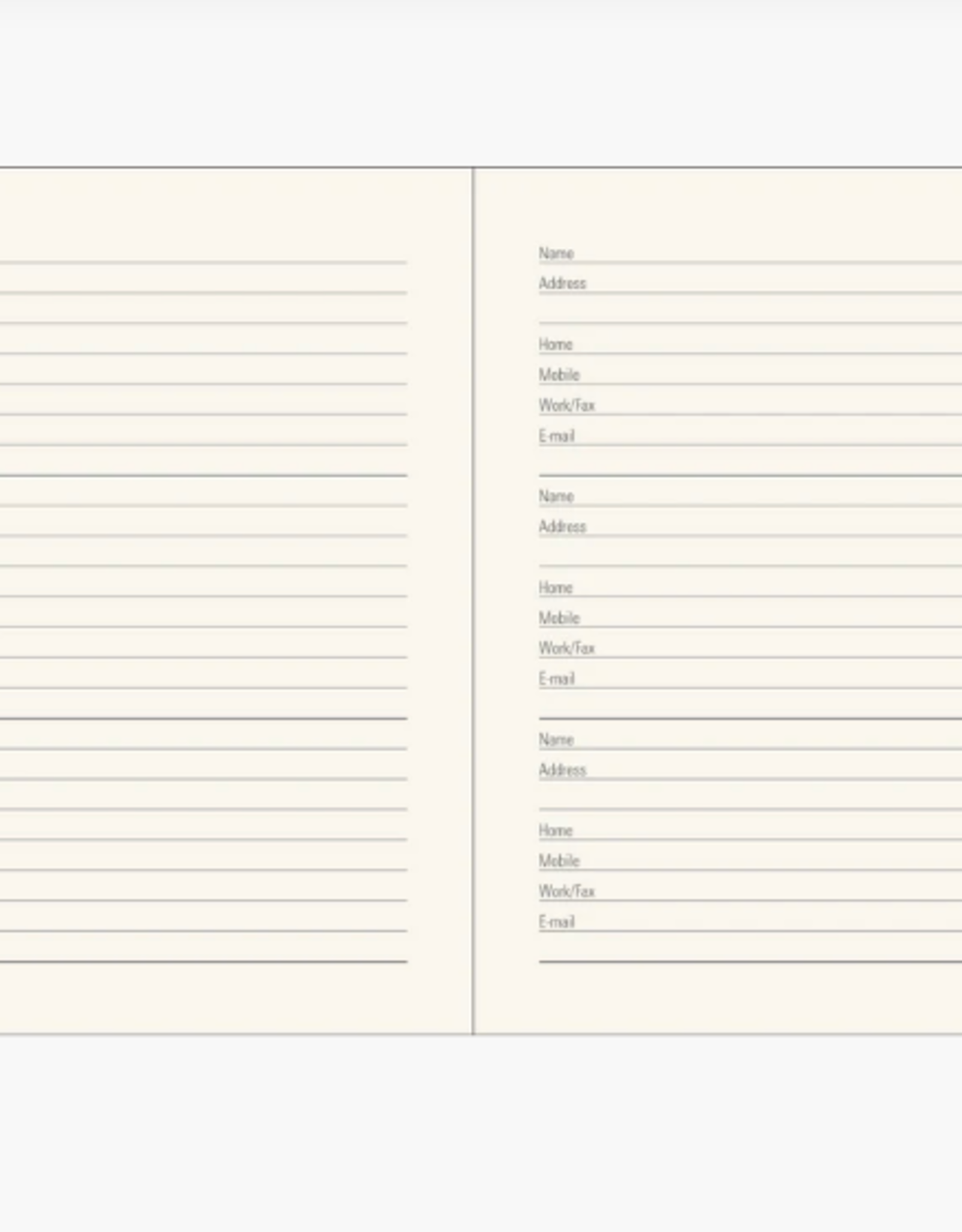 Peter Pauper Press 2025 Planner  Eucalyptus