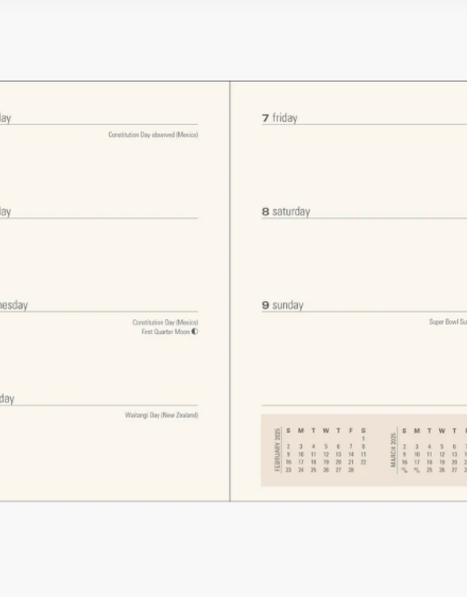Peter Pauper Press 2025 Planner  Eucalyptus