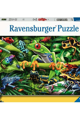 Ravensburger 35p Amazing Amphibians