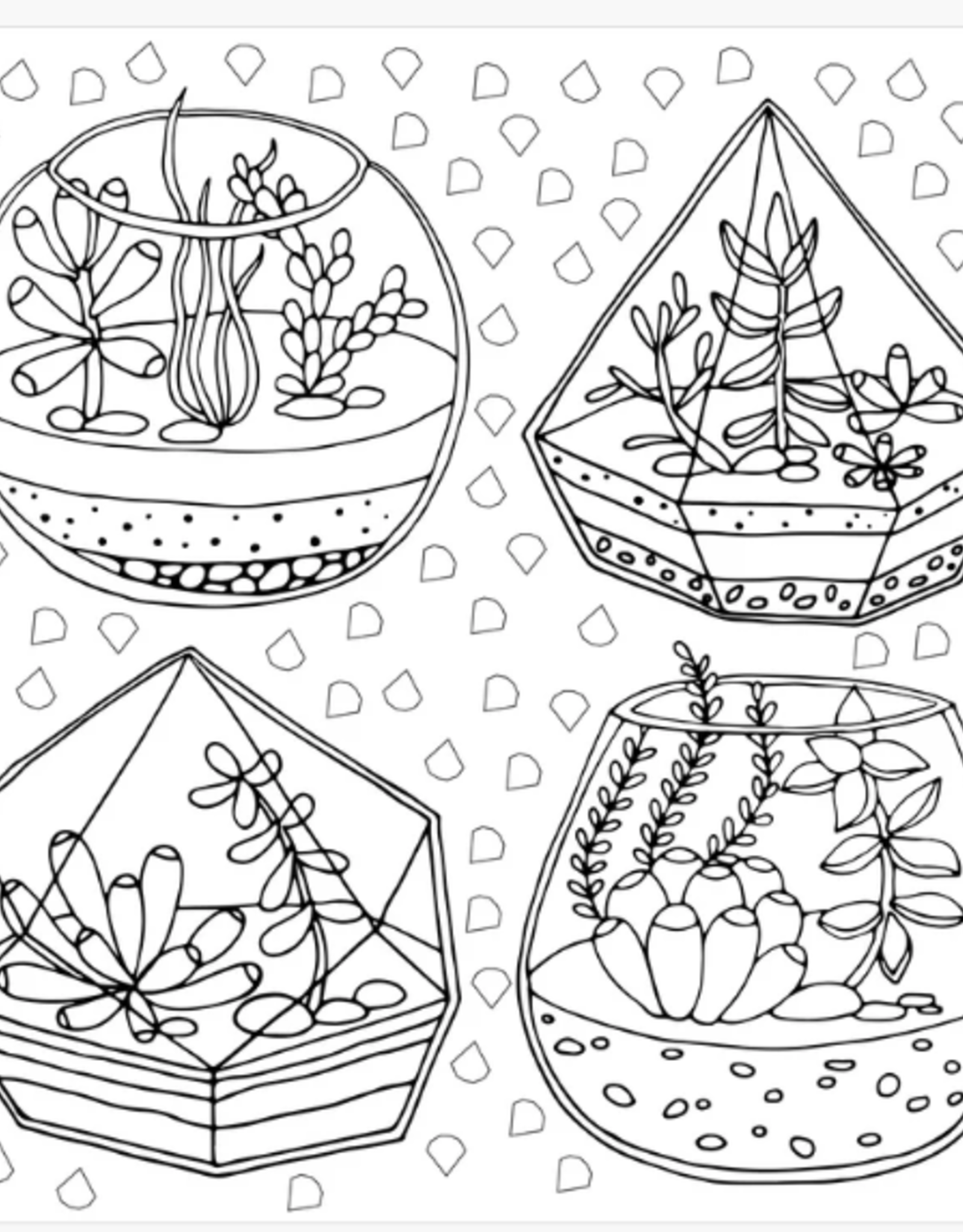 Peter Pauper Press Colouring Book Succulents