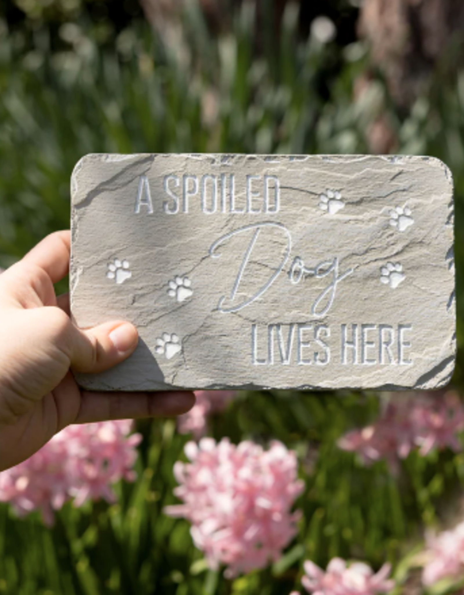 Stones with Stories Stones w/Stories